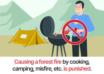 Causing a forest fire by cooking, camping, misfire, etc. is punished.