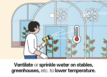 Ventilate or sprinkle water on stables, greenhouses, etc. to lower temperature.